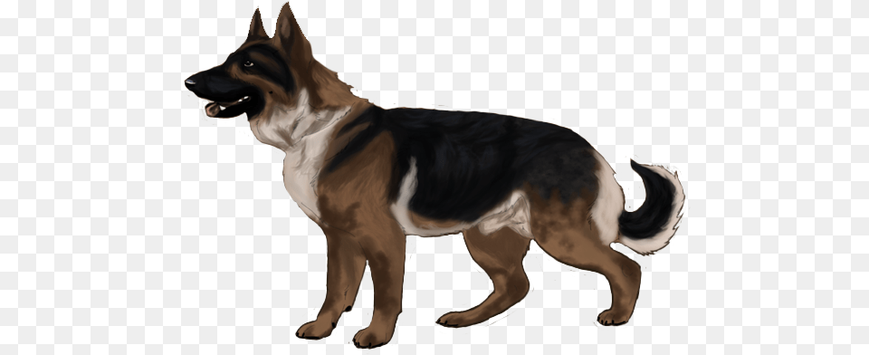 Thumb Animal, Canine, Dog, German Shepherd Png Image