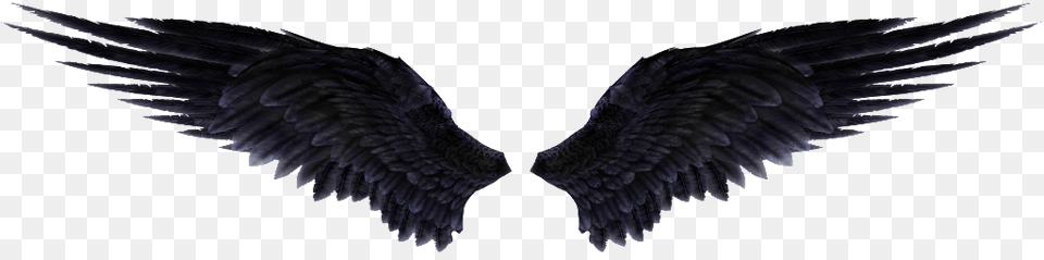 Thumb Image Angel Wings Black, Animal, Bird, Flying, Vulture Free Transparent Png