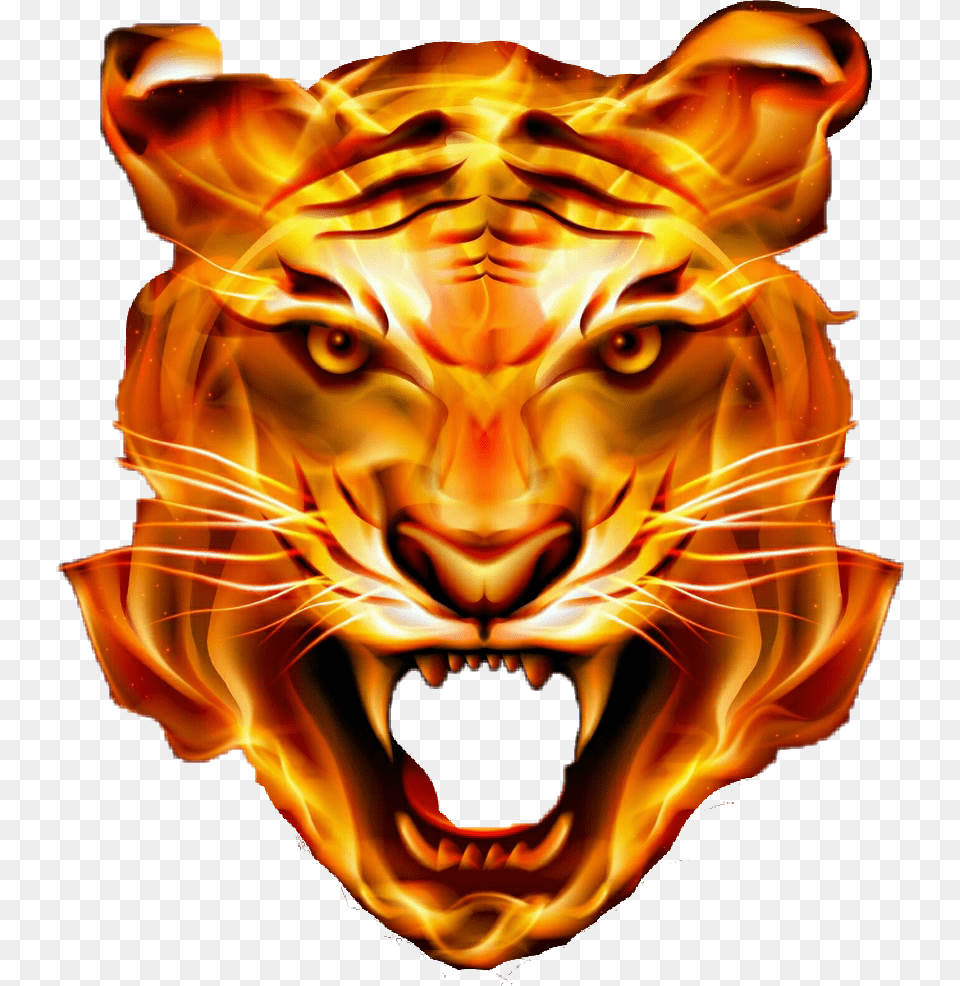Thumb Image Angry Tiger Face, Animal, Lion, Mammal, Wildlife Free Png