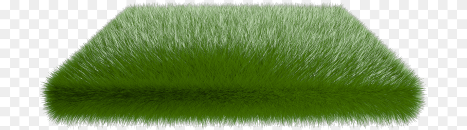 Thumb Image Artificial Turf, Home Decor, Rug, Clothing, Fur Free Png