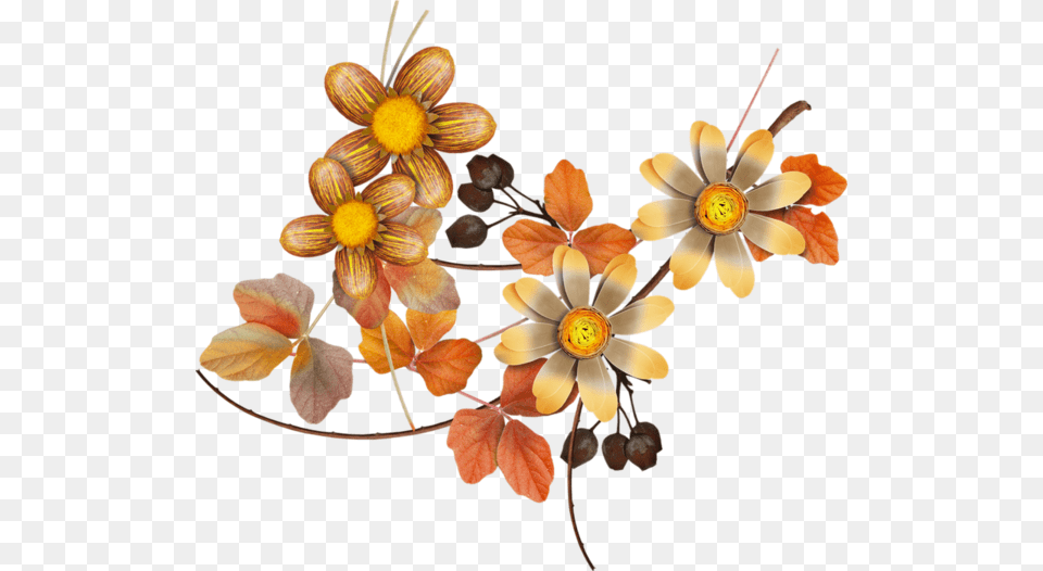 Thumb Image Autumn Flower, Plant, Flower Arrangement, Accessories, Anther Free Png