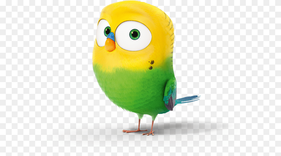 Thumb Image Bird From Secret Life Of Pets, Animal, Parakeet, Parrot Free Transparent Png