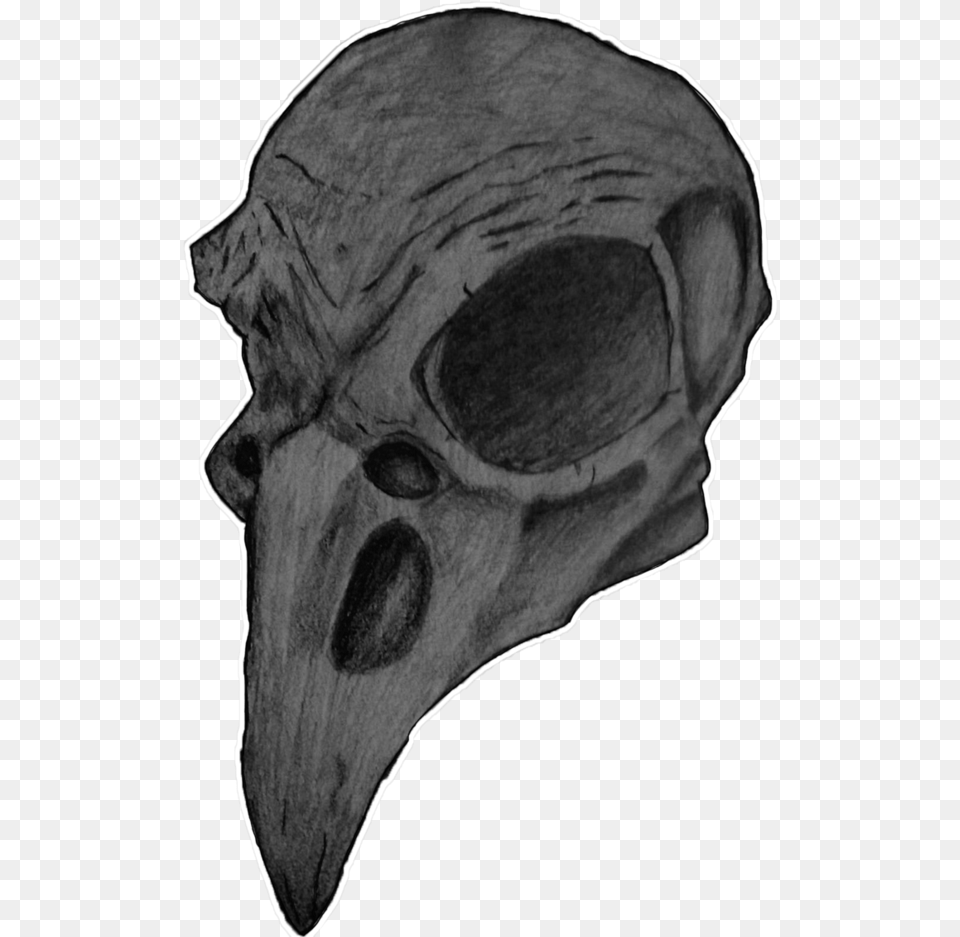 Thumb Image Bird Head Skull, Adult, Male, Man, Person Free Transparent Png