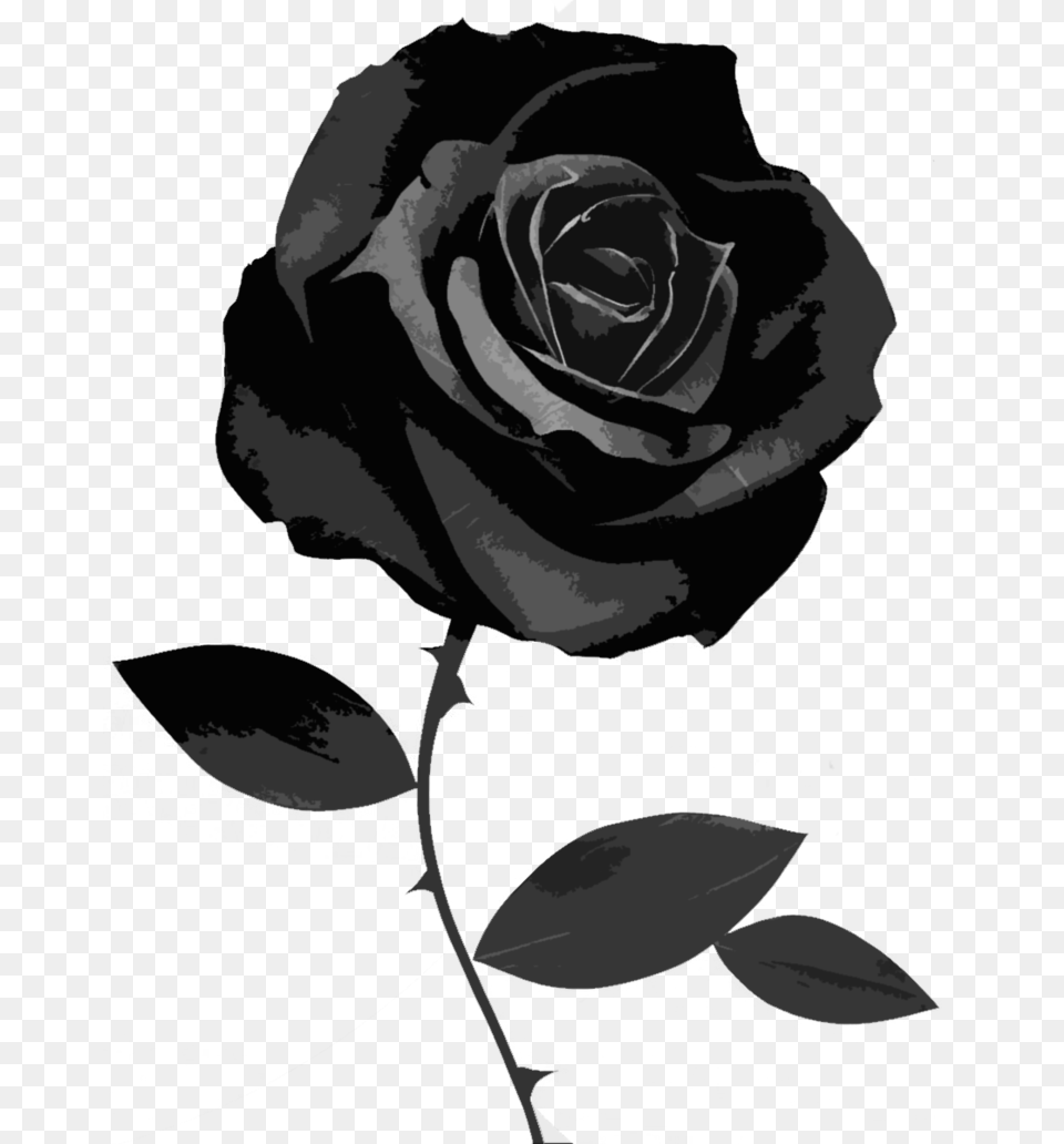 Thumb Image Black Rose Transparent Background, Flower, Plant, Person Free Png