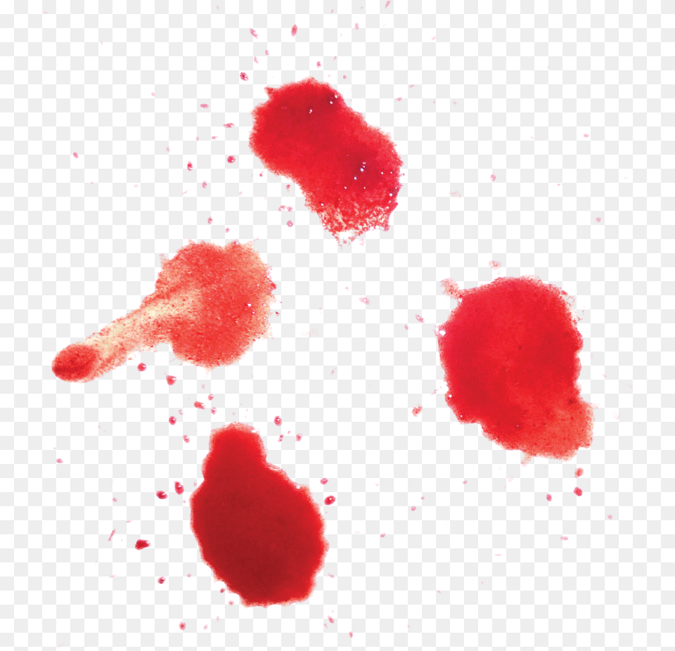 Thumb Image Blood, Stain, Flower, Petal, Plant Free Png Download