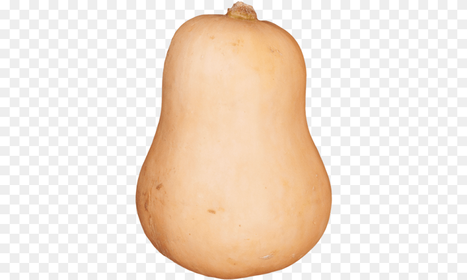 Thumb Image Butternut Squash, Food, Plant, Produce, Vegetable Png