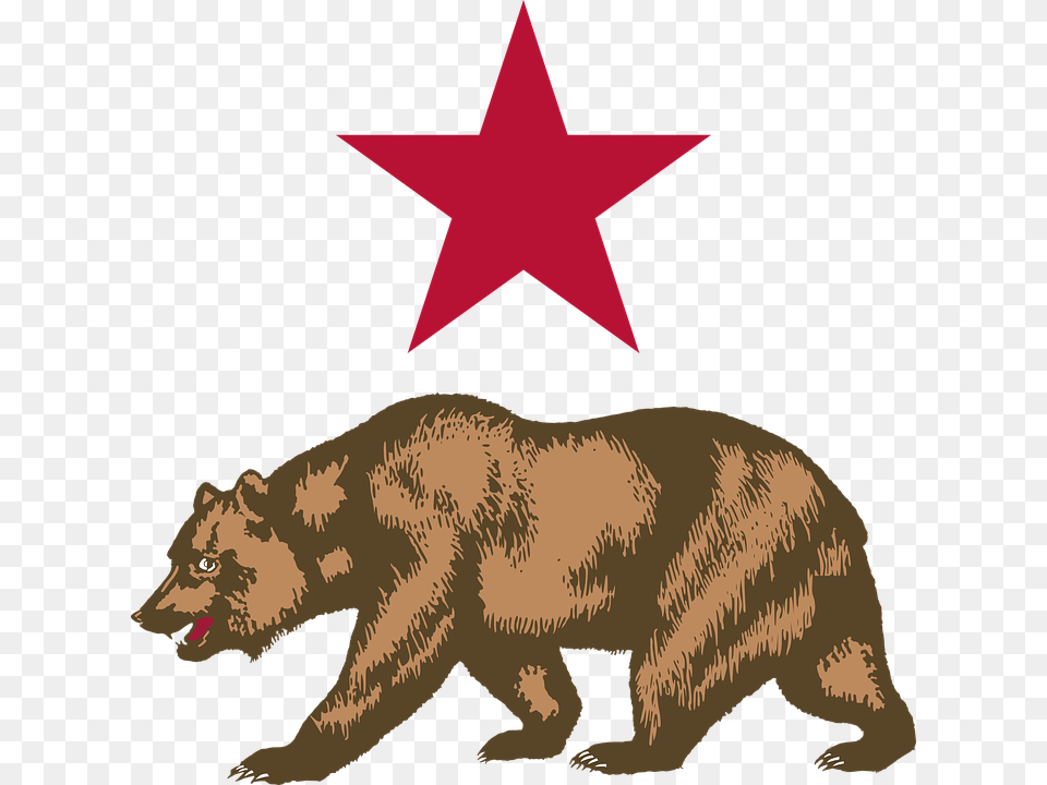 Thumb Image California Bear, Star Symbol, Symbol, Animal Free Png