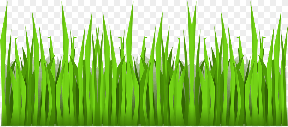 Thumb Cartoon Grass Background, Green, Plant, Moss, Lawn Png Image