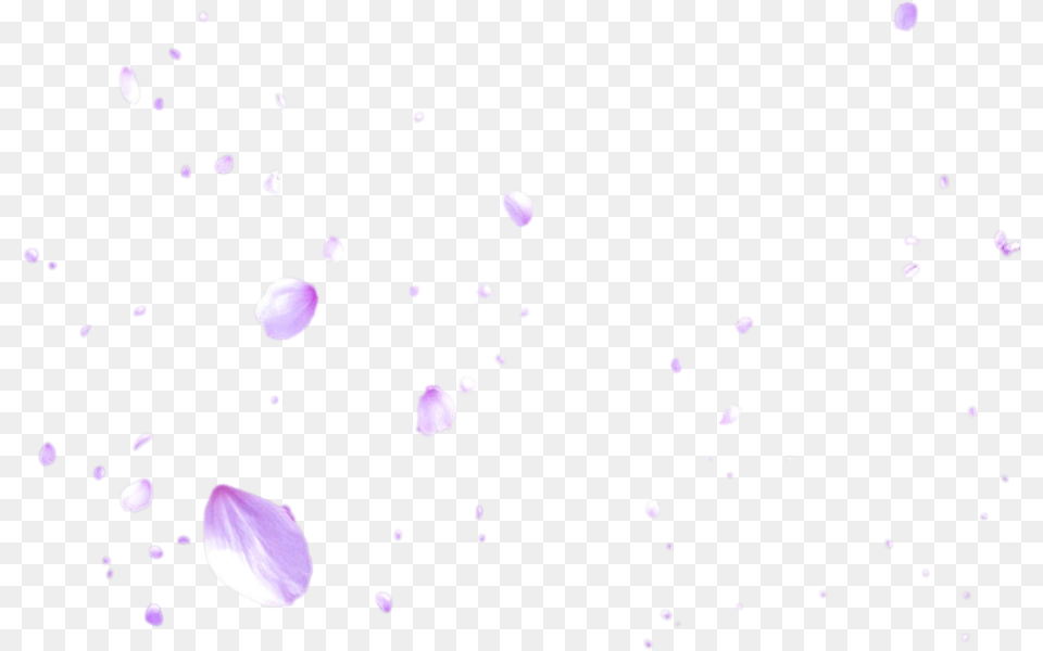 Thumb Image Cherry Blossoms Falling, Flower, Petal, Plant, Purple Free Png Download