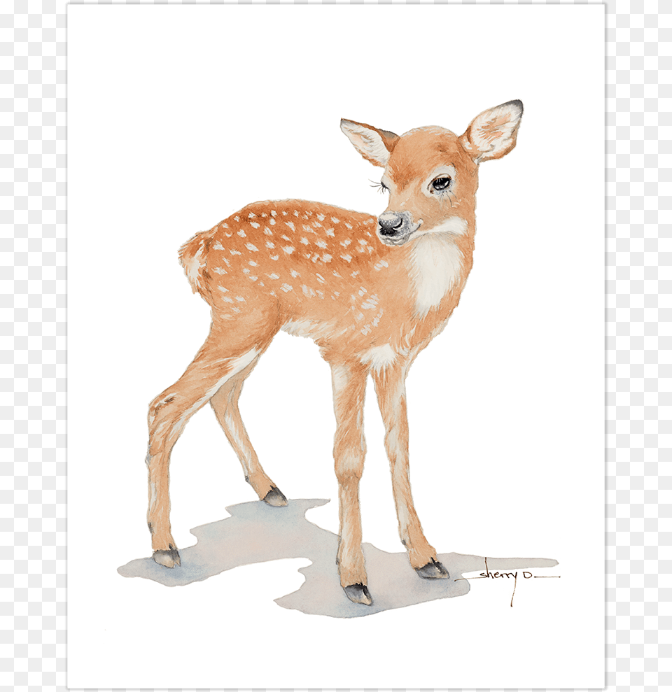 Thumb Image Clip Art Of A Baby Deer, Animal, Mammal, Wildlife, Cattle Free Png