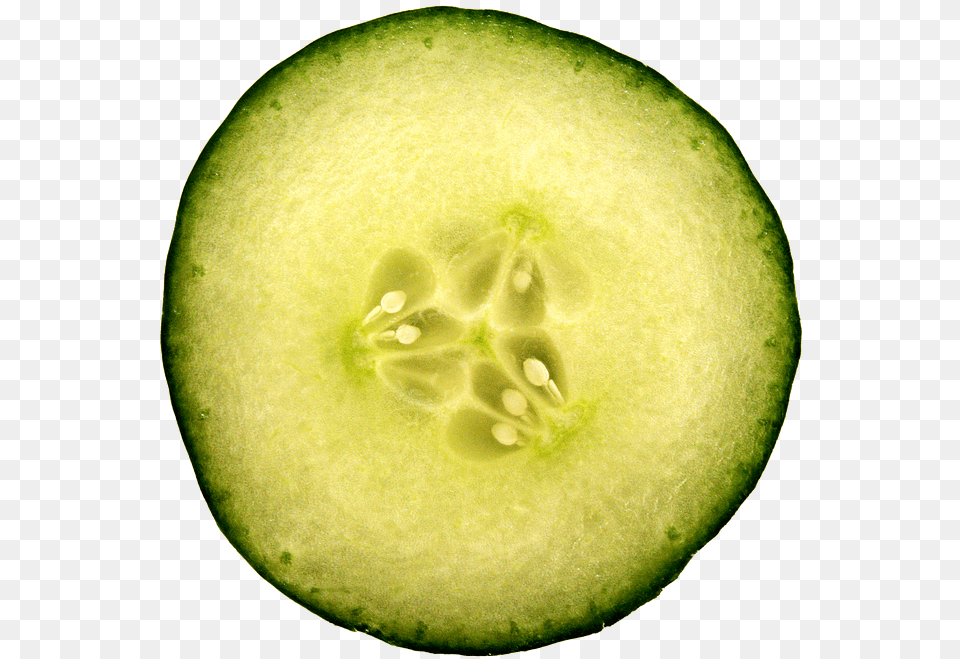 Thumb Image Cucumber Slice, Food, Plant, Produce, Vegetable Free Png Download