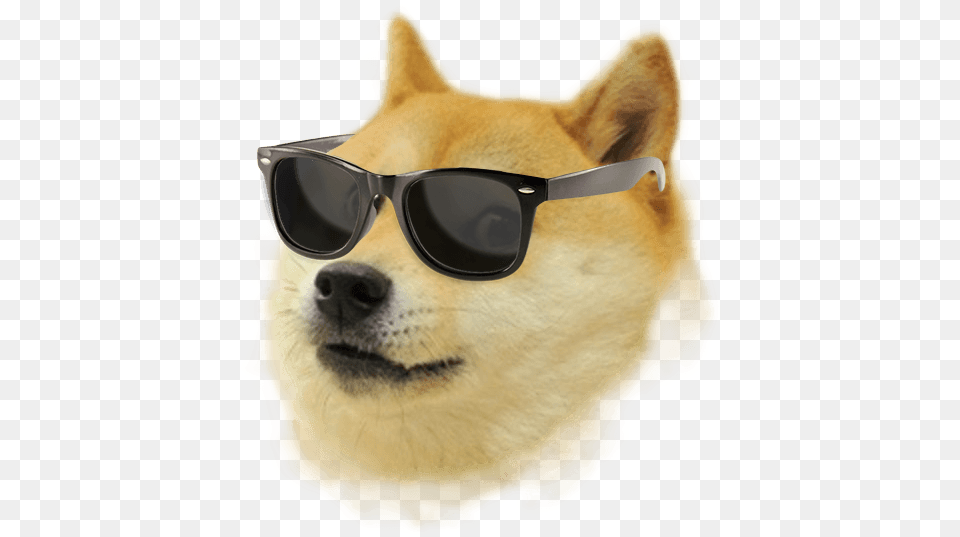 Thumb Image Doge With White Background, Accessories, Sunglasses, Glasses, Goggles Free Transparent Png