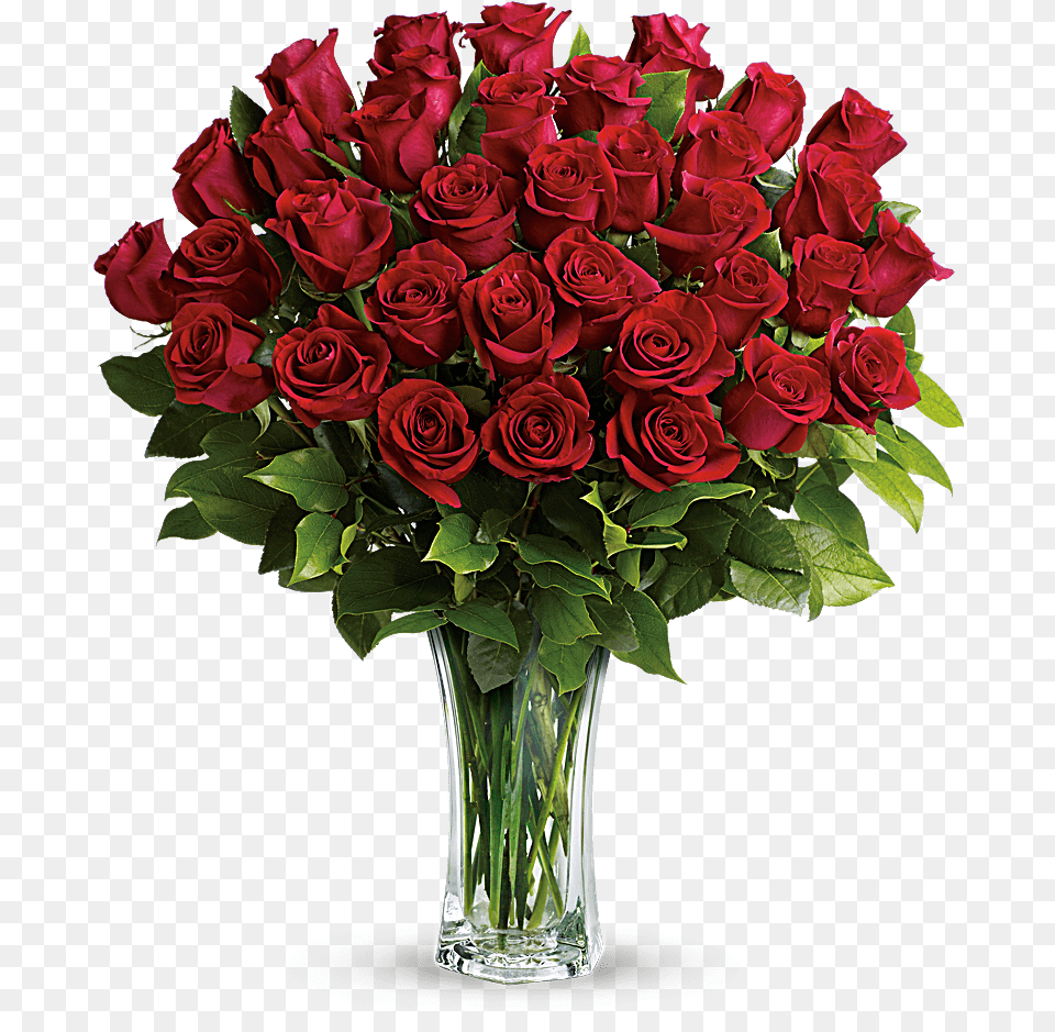 Thumb Image Dozen Red Roses, Flower, Flower Arrangement, Flower Bouquet, Plant Png