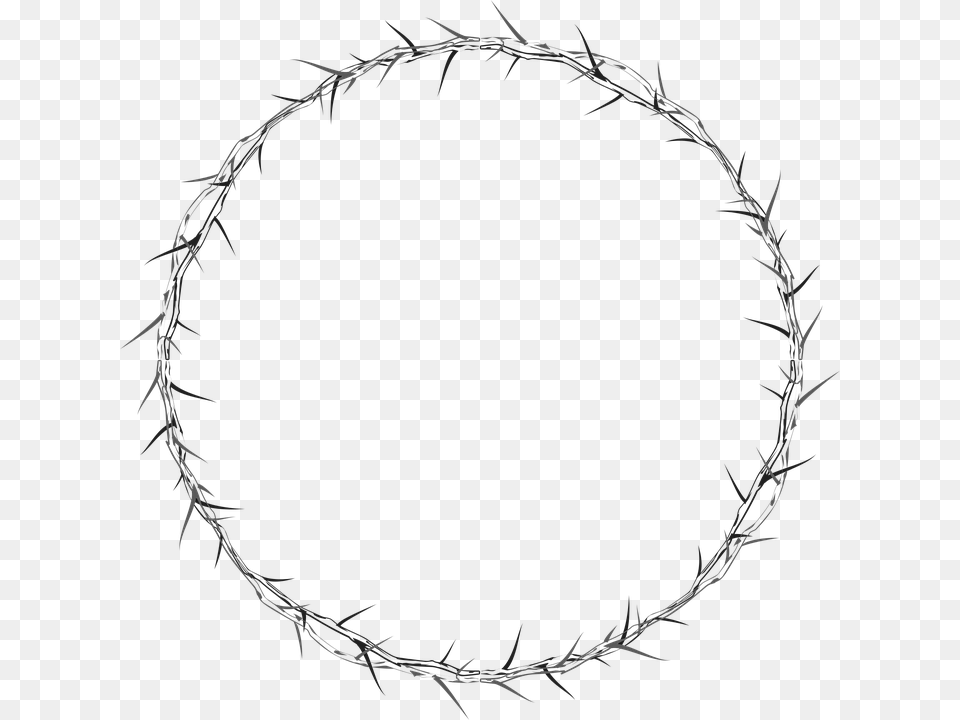 Thumb Image Drawn Crown Of Thorns, Plant Free Png