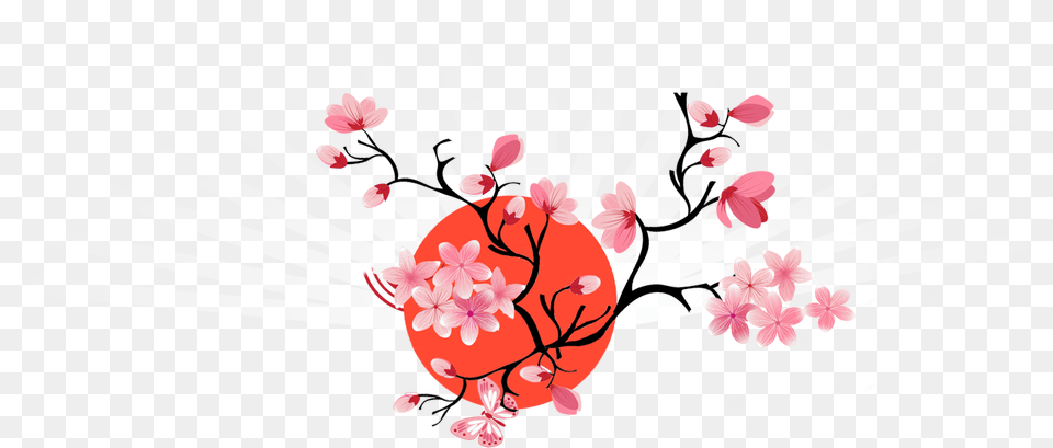 Thumb Image Flor Oriental, Flower, Plant, Cherry Blossom Free Png Download