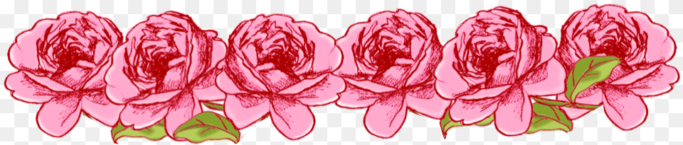 Thumb Image Flower Border Pink Background Design, Plant, Carnation, Dahlia, Petal Free Png Download