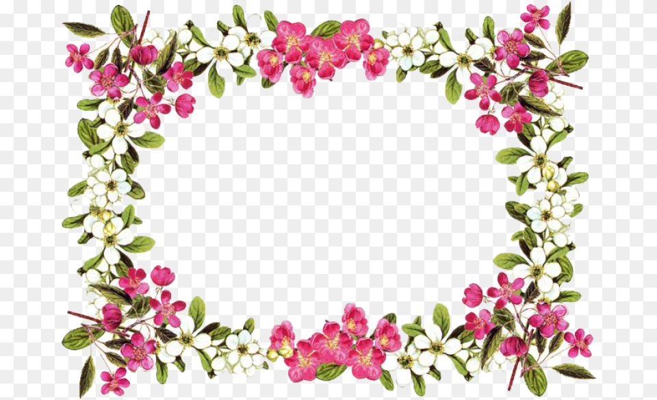 Thumb Image Flower Borders, Plant, Flower Arrangement, Accessories, Ornament Free Png Download