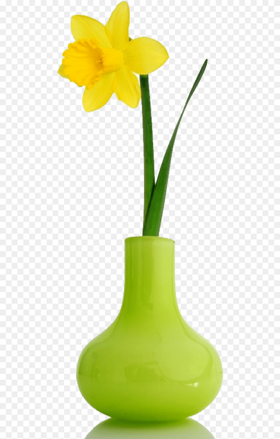 Thumb Image Flowers In Vases, Daffodil, Flower, Jar, Plant Free Png