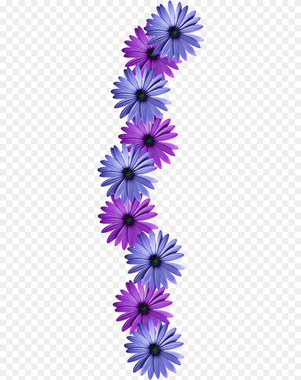 Thumb Image Flowers Vine, Daisy, Flower, Plant, Purple Free Png
