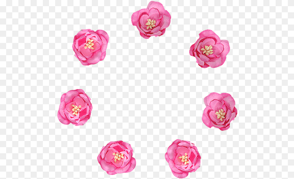 Thumb Image Framework For Smart Learning Environment, Plant, Petal, Flower, Accessories Free Png