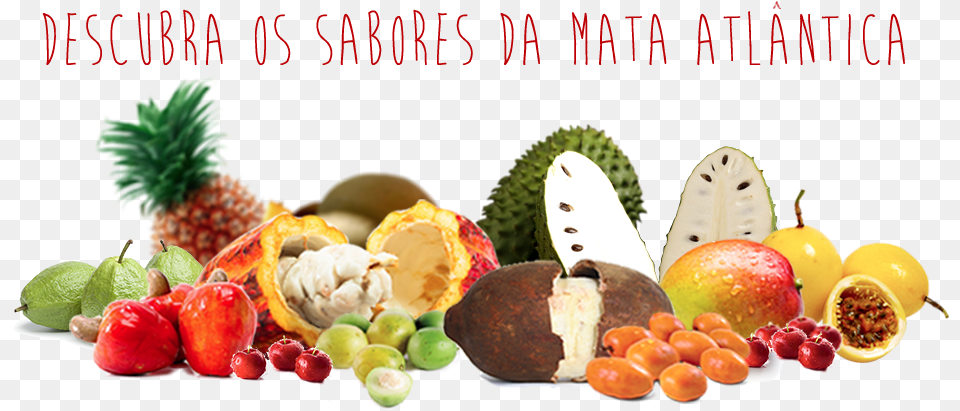 Thumb Frutos Da Mata Atlantica, Food, Fruit, Plant, Produce Png Image