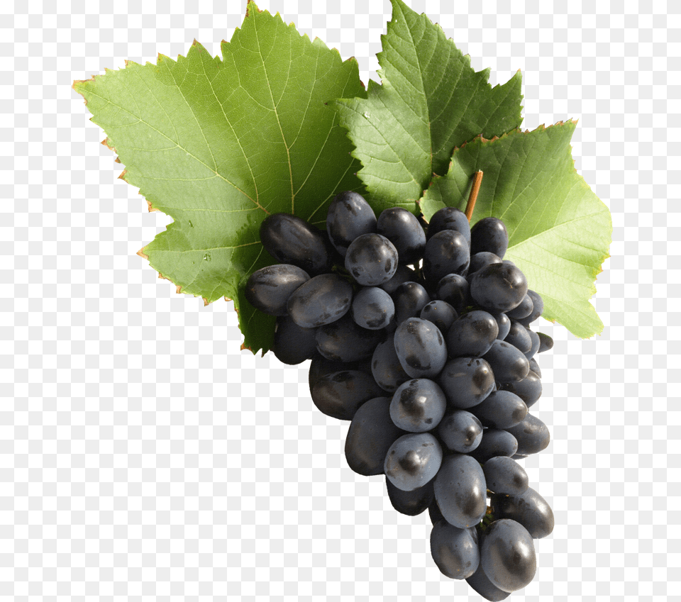 Thumb Image Grapes, Food, Fruit, Plant, Produce Png