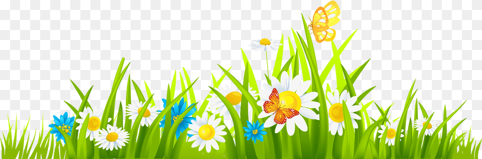 Thumb Image Grass Clipart, Daisy, Flower, Nature, Outdoors Free Png