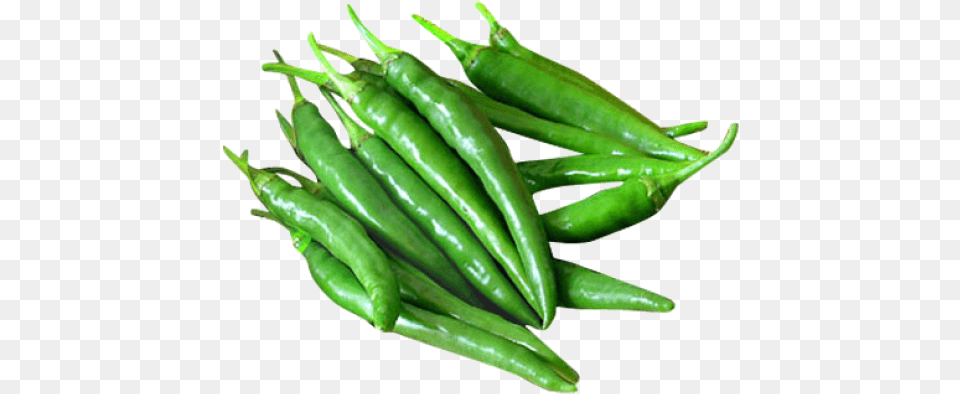 Thumb Image Green Chilli Image, Plant, Food, Produce, Pepper Png