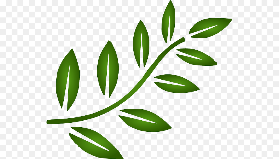 Thumb Image Green Leaf Clipart, Herbs, Plant, Herbal, Pattern Free Transparent Png