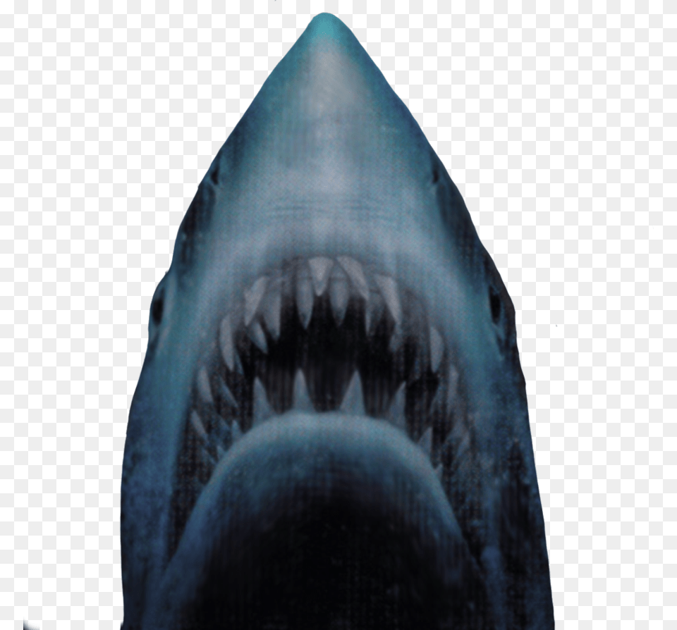 Thumb Image Jaws Shark Background, Animal, Fish, Sea Life Free Png Download