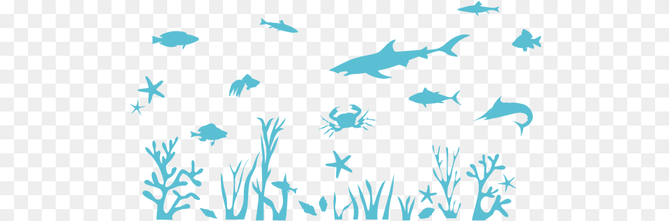 Thumb Kids Wall Sticker, Animal, Sea Life, Fish, Person Png Image