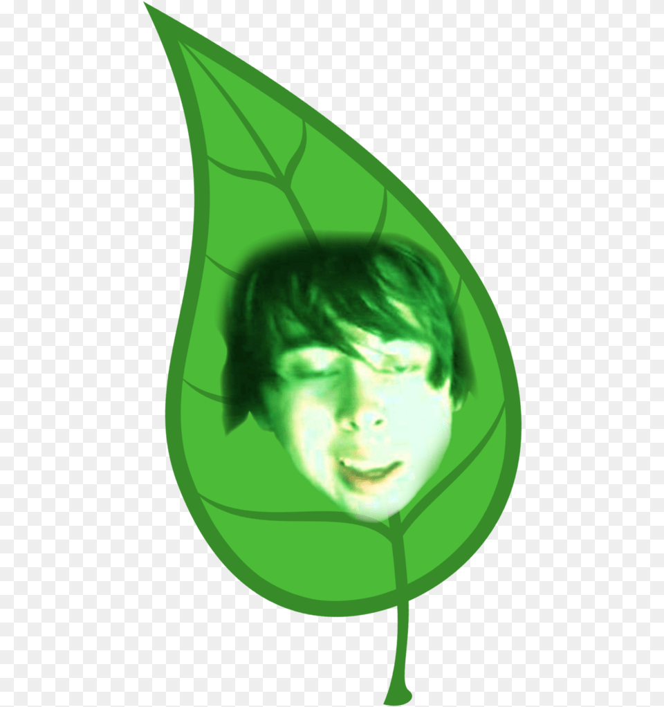 Thumb Image Leafy Is Here, Plant, Leaf, Green, Droplet Png