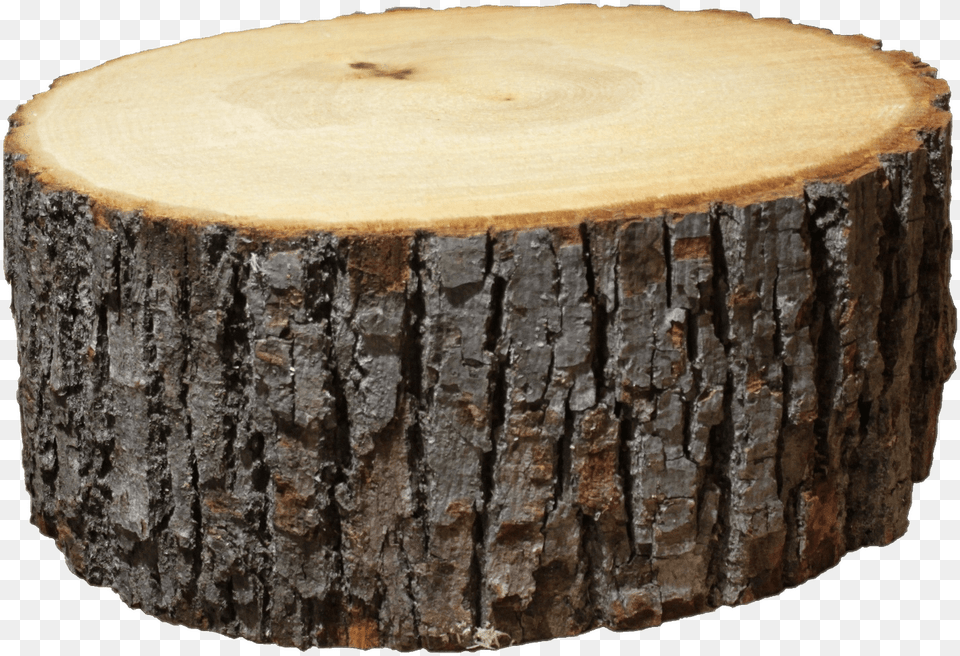 Thumb Image Log, Plant, Tree, Tree Stump, Tree Trunk Free Png