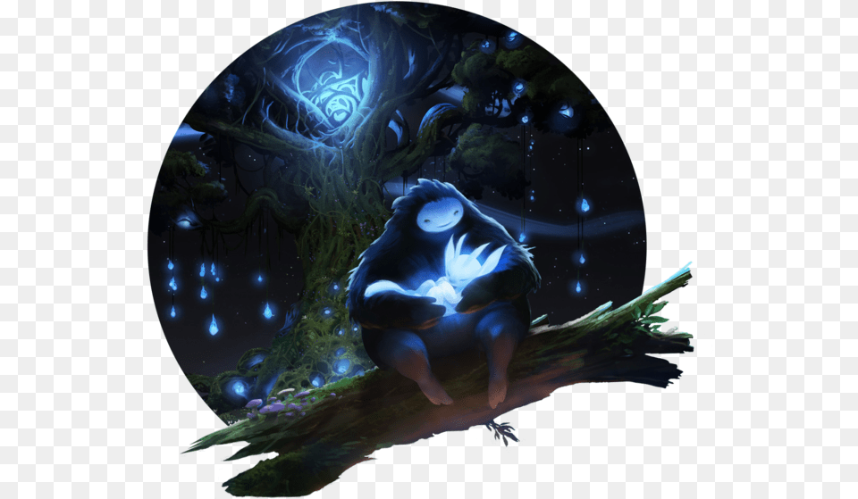Thumb Image Ori And The Blind Forest, Sphere, Pattern, Animal, Bird Free Png Download