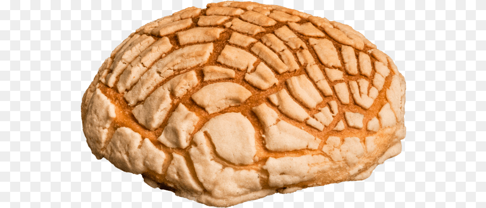 Thumb Image Pan De Concha, Bread, Bun, Food, Sandwich Free Png Download