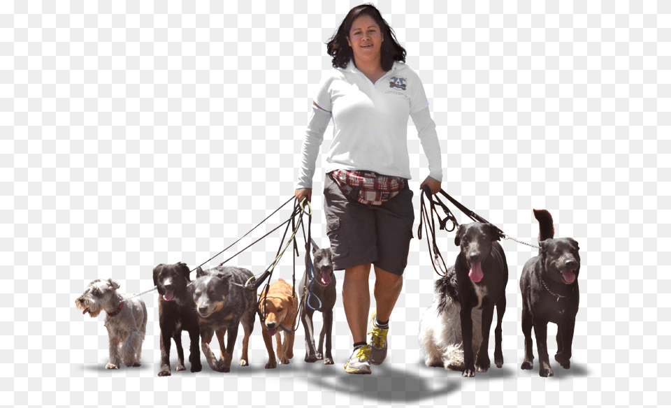 Thumb Personas Paseando Perros, Adult, Person, Woman, Female Png Image