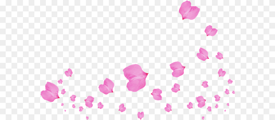 Thumb Image Petal, Flower, Plant Free Png