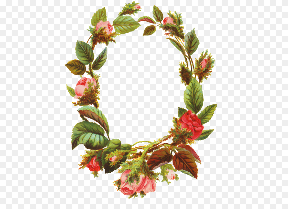 Thumb Image Picture Frame, Plant, Wreath, Flower, Rose Free Transparent Png