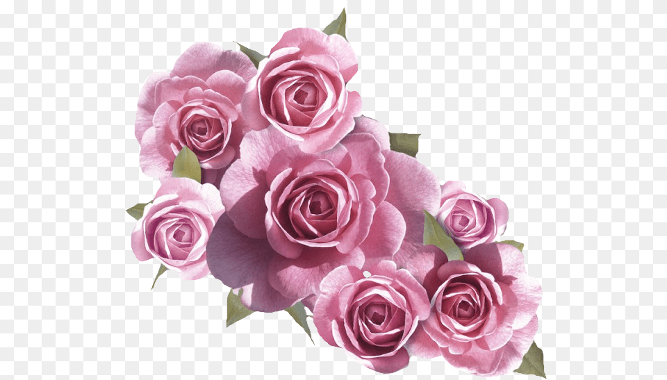 Thumb Image Pink And White Flowers, Flower, Flower Arrangement, Flower Bouquet, Plant Free Transparent Png