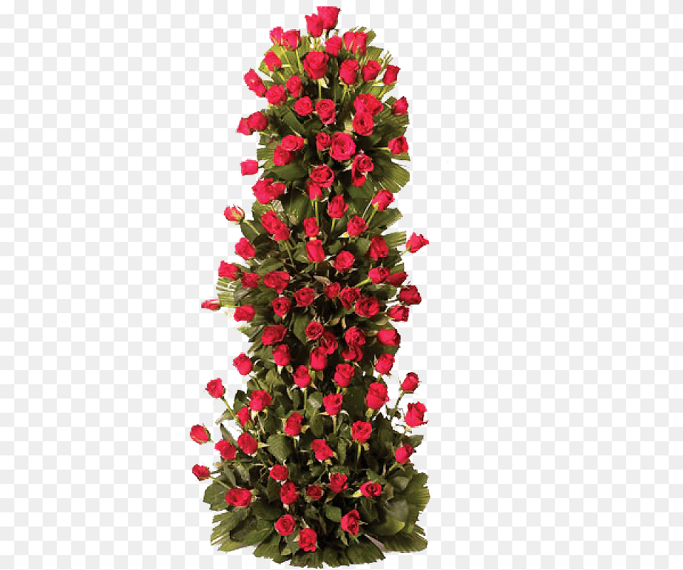Thumb Image Red Rose Bush, Plant, Flower, Flower Arrangement, Christmas Decorations Png