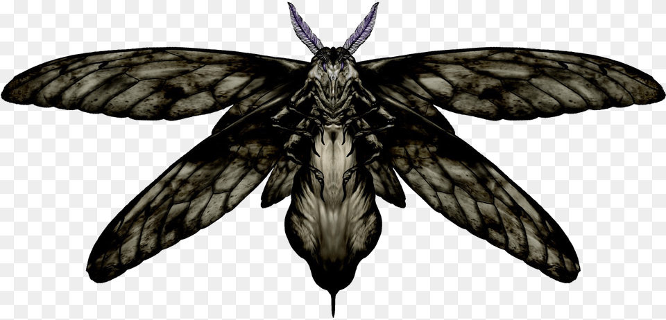 Thumb Resident Evil 2 Moth, Animal, Insect, Invertebrate, Butterfly Png Image