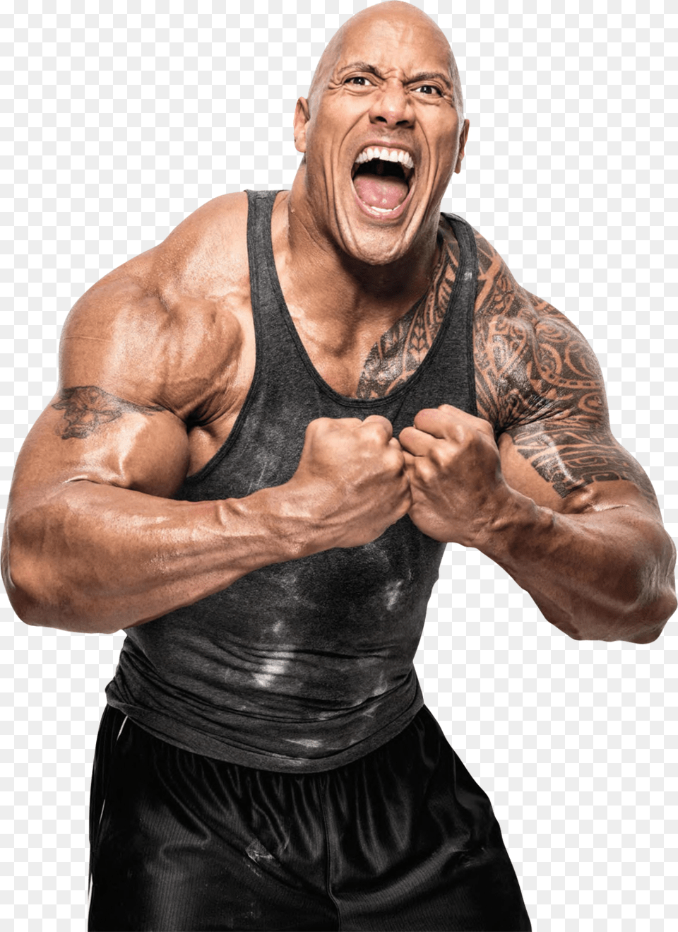 Thumb Image Rock Wwe, Angry, Face, Head, Person Png