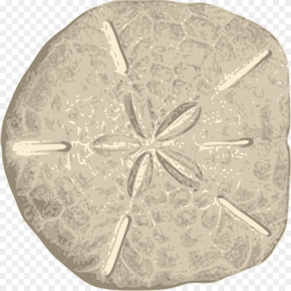 Thumb Image Sand Dollar, Fossil, Home Decor, Plate Free Png Download