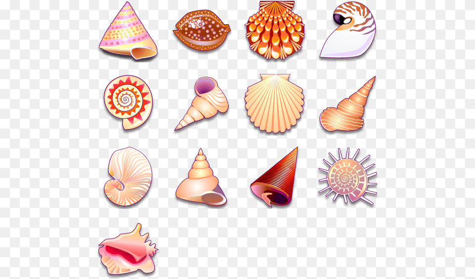Thumb Sea Shell Vector, Animal, Sea Life, Invertebrate, Seashell Png Image