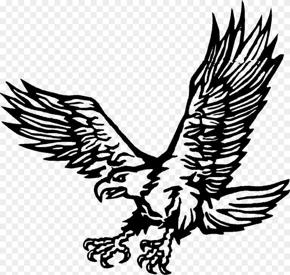 Thumb Image Shaheen Coloring Pages, Animal, Bird, Eagle, Flying Free Png Download