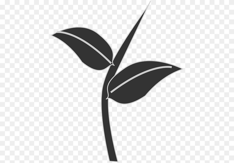 Thumb Stem And Leaf Silhouette, Plant, Herbal, Herbs, Flower Png Image
