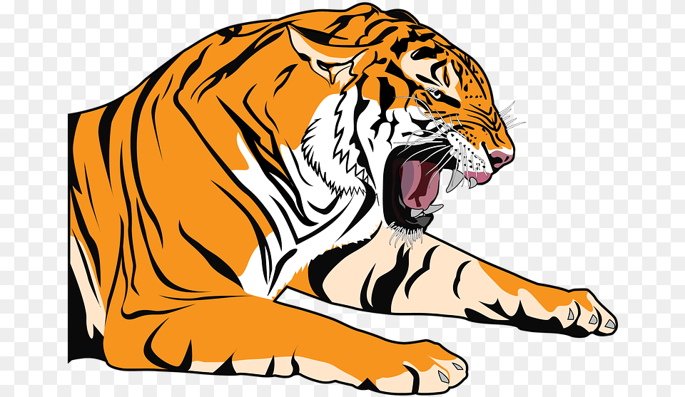 Thumb Image Tiger Clip Art, Animal, Mammal, Wildlife, Person Png