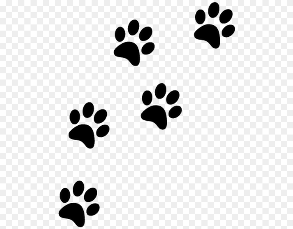 Thumb Image Transparent Cat Paw Prints, Footprint Free Png Download