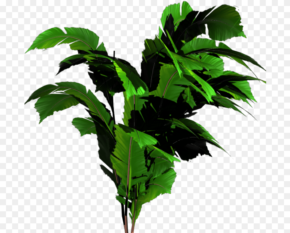 Thumb Transparent Jungle Tree, Green, Leaf, Plant, Vegetation Png Image
