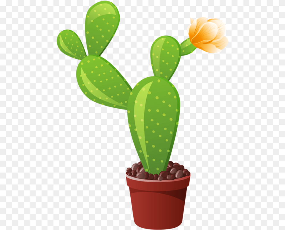 Thumb Image Transparent Potted Cactus Clipart, Plant Free Png